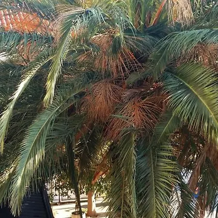 بيت ضيافة Center Helena