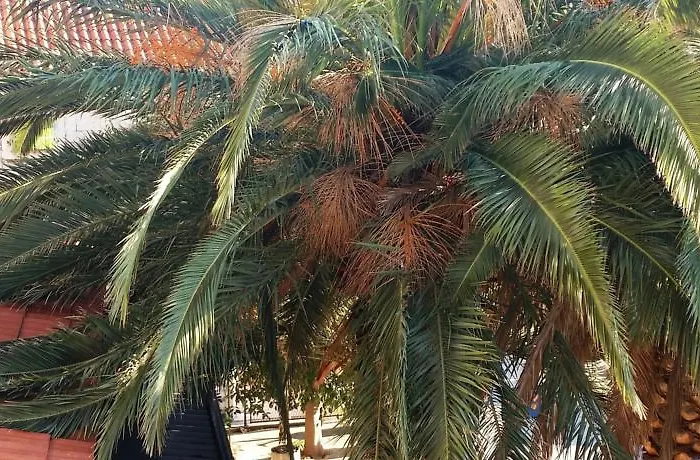 Affittacamere Center Helena